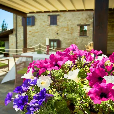 Borgo Monte Cedrone Monte Santa Maria Tiberina